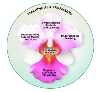 The Singapore Teaching Practice